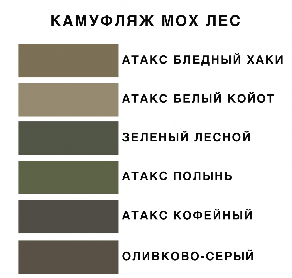 мох лес цвета.jpg